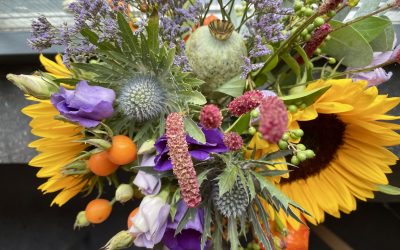 Mijn hoofd doet het niet meer